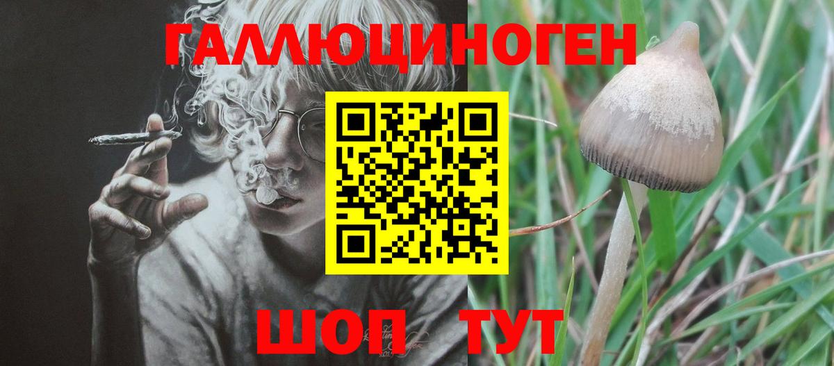 Псилоцибиновые грибы прущие грибы Миасс
